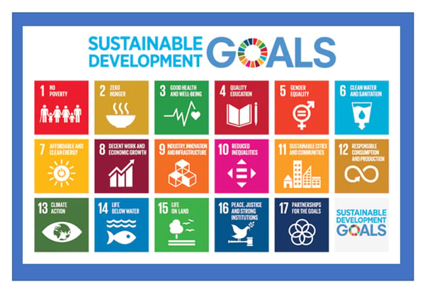 The 17 United Nations Sustainable Development Goals (SDGs)